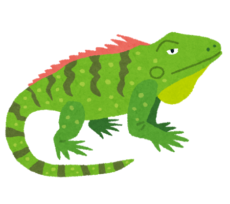 animal_iguana