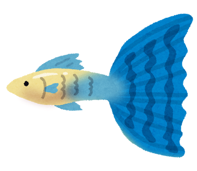 fish_guppy