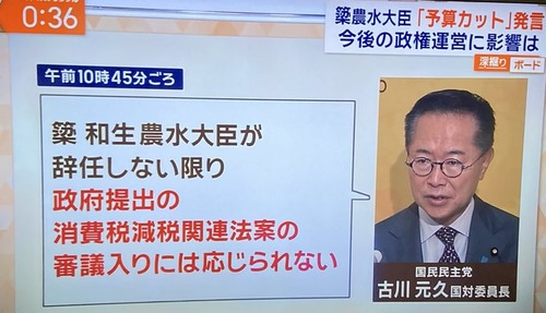 【対決より解決（笑）】国民民主党　消費税減税法案を潰す為に審議拒否開始