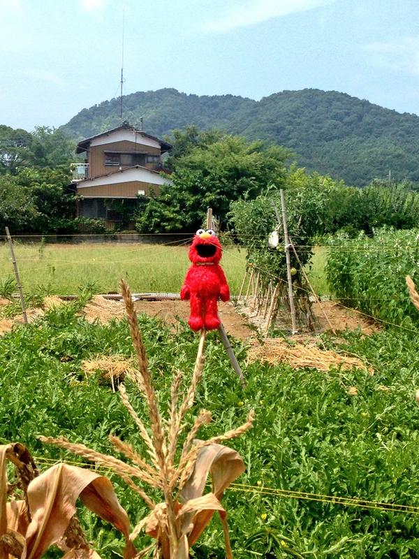 elmo