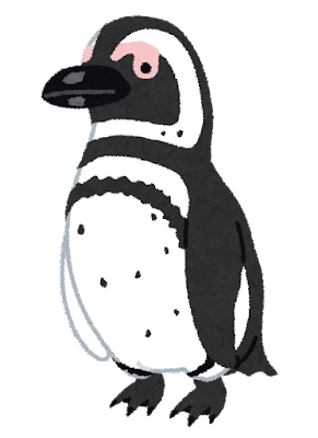 penguin17_magellanic