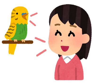 サザナミインコともなるとラインの呼び出し音まで真似できる模様ｗｗｗｗｗｗｗｗｗｗｗ