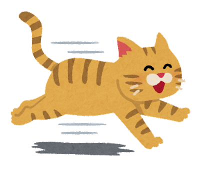 run_cat_smile (1)