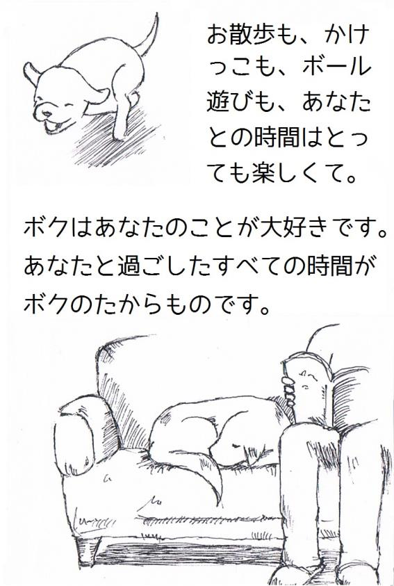 387887C4-6E2C-11E4-AF91-8337CD288735_l