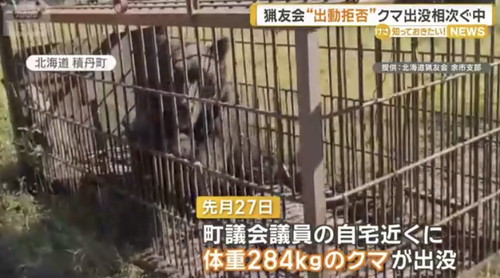 【悲報】猟友会「離れろ！撃てないやんけ！」町議「なんやあいつやめさせたる！」