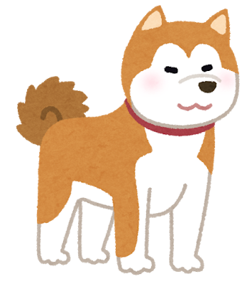 dog_akitainu