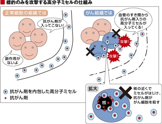 img_8a8a7df9109172275cf66ef1c9e588c0136846