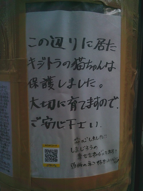 この辺りに居たキジトラの猫ちゃんは保護しました。大切に育てますのでご安心ください。