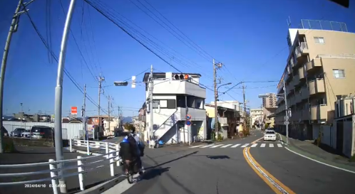 チャリンカスおばさん　マジで信号が見えない病気