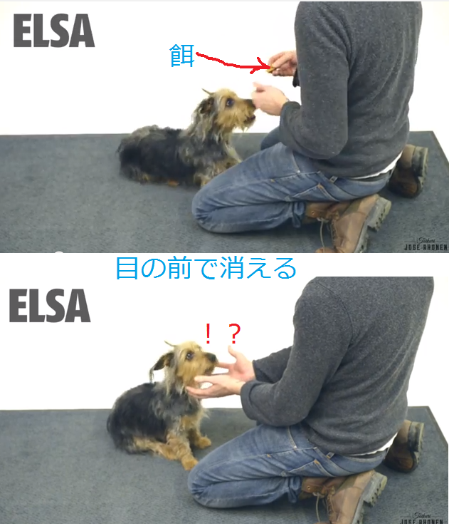 esa