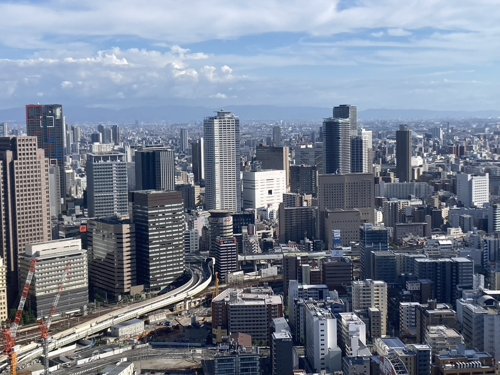 ワイ旅行行ったらとりあえず高いところ行くの好きなんやがどこか当ててくれ