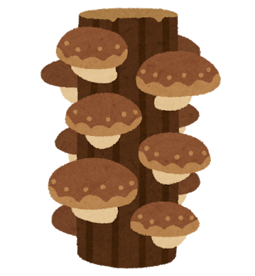 food_shiitake_genboku