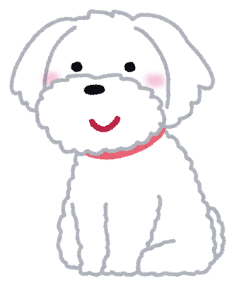 dog_maltese