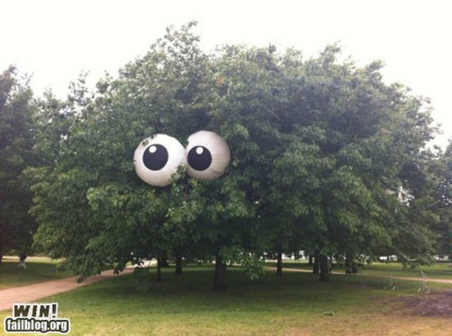 failwin_picdump_249_640_07
