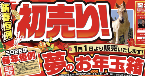 【夢のお年玉箱】ヨドバシカメラ　明日の初売り列が外国人で埋め尽くされる