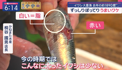 iwa4
