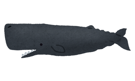 whale_04_makkoukujira