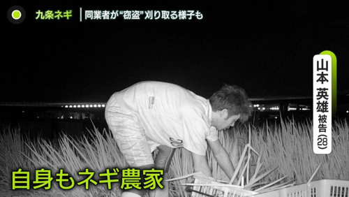 negi1