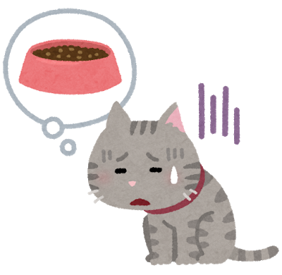 pet_cat_hungry