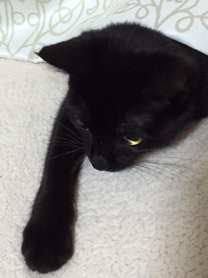 kuro09