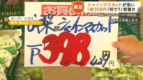 budou4