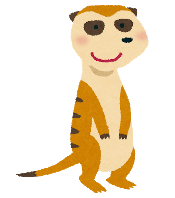 animal_meerkat