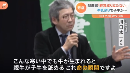 牛