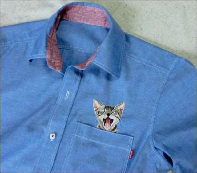 cat09