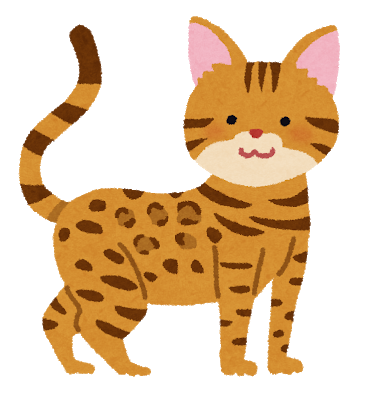 cat_bengal