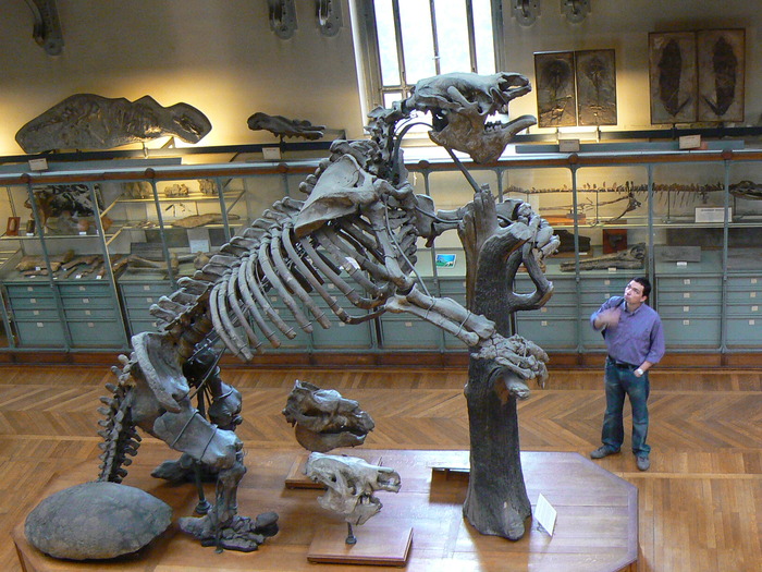 Megatherium_americanum_complete