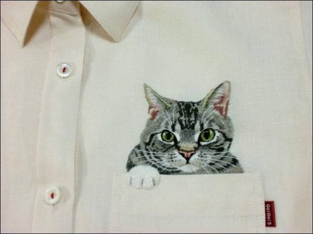 cat02