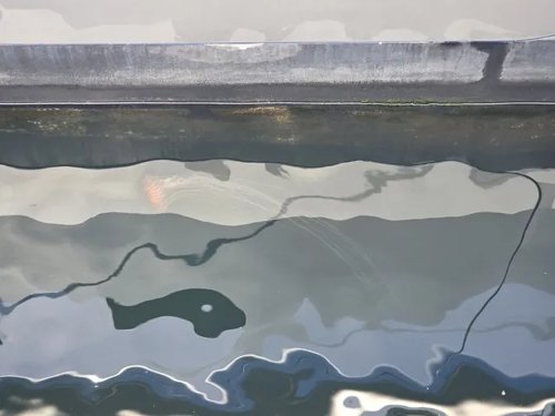 uploaded image