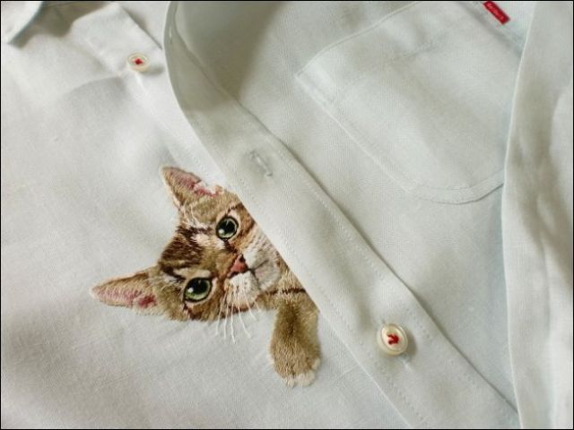 cat06