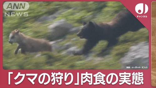 クマ擁護派ママ達「青森、秋田、岩手の農産品不買運動を立ち上げましょう！」