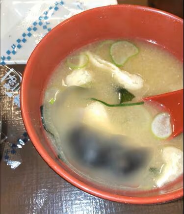 img_615f3de20498cb6c90f94162e760049b309995 (1)