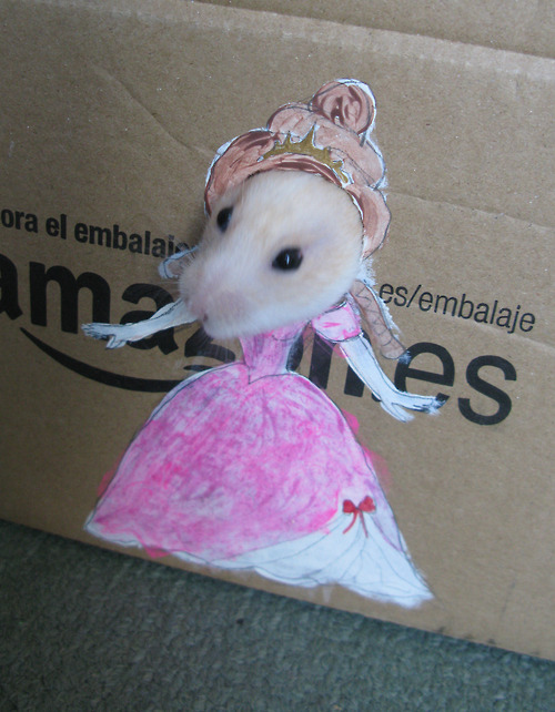 ham02