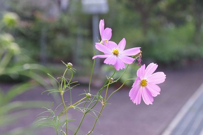 02