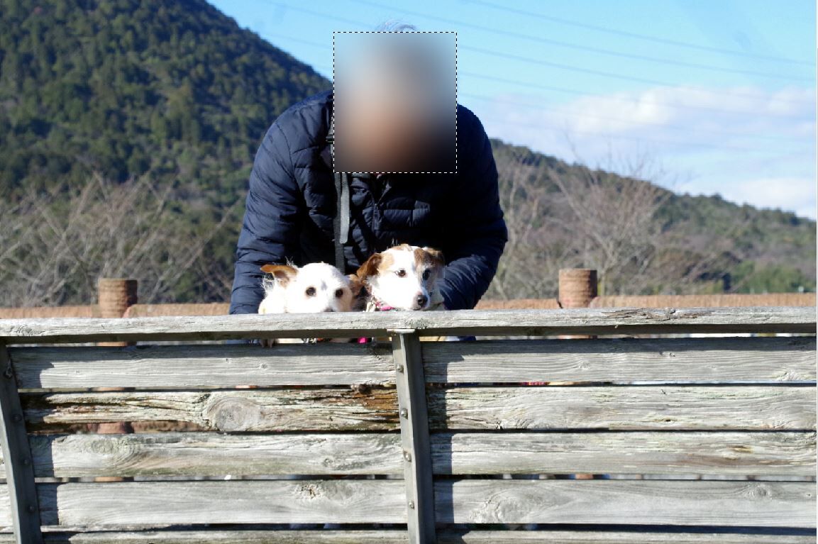 みんなで散歩 華 あず レン みんなで散歩 華 あず レン
