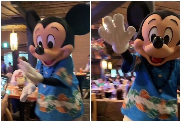 ミッキー