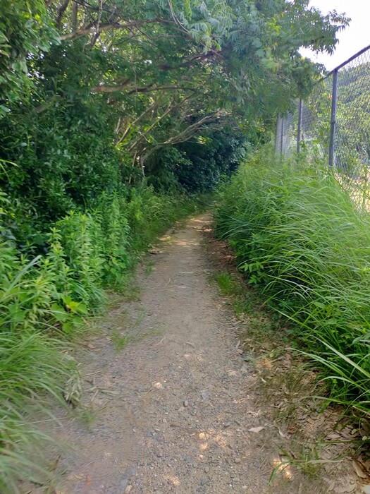 IMG20250703104002