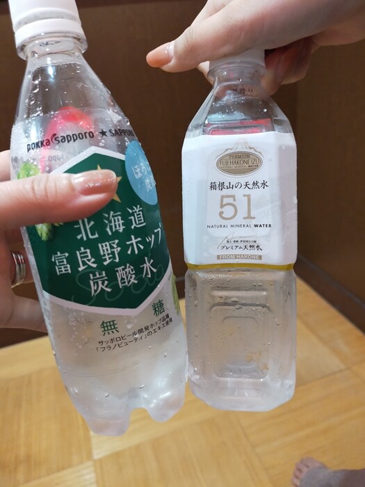 IMG20240828130658