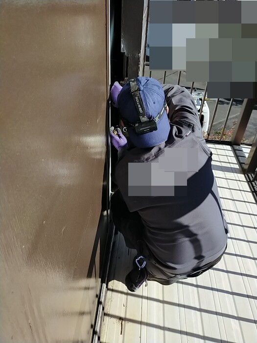 2025-01-08-10-18-46-833