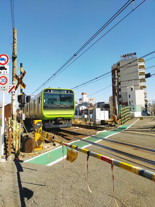 IMG20250211130131