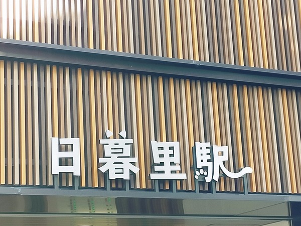 IMG20250211134826