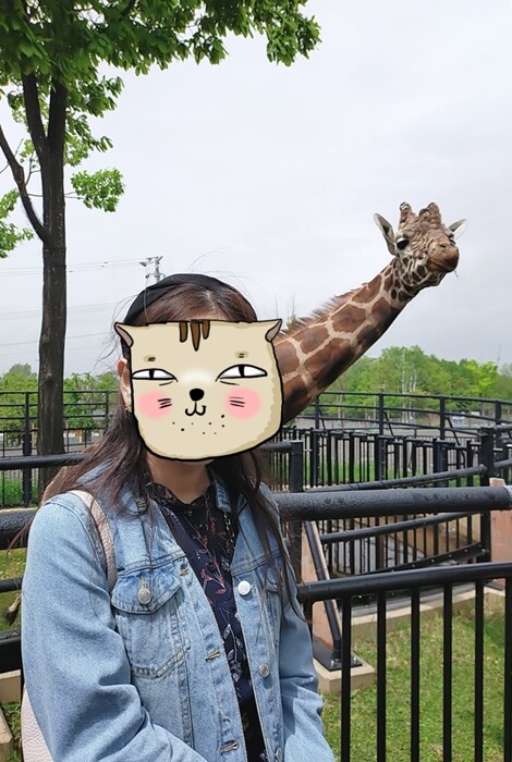 2023-05-22-11-49-11-455