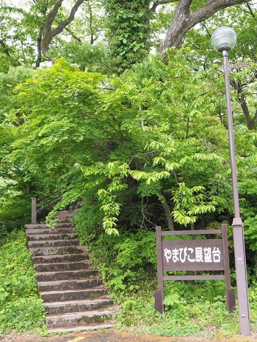 P5134883