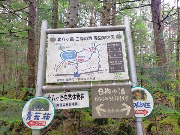 IMG20260718055557