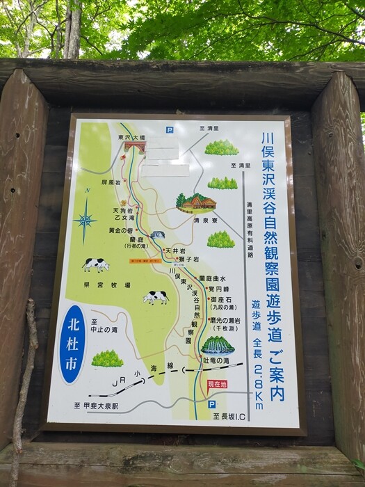 IMG20240719105443