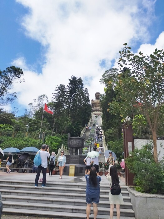 IMG20240703111957