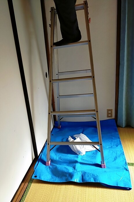 2024-11-12-09-05-54-993